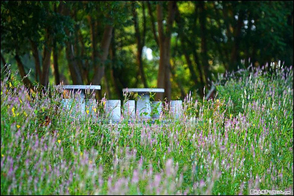 【春天，广西桂林灌阳县向您发出邀请！】熊家寨湿地公园 - 游山玩水 - 文山生活社区 - 文山28生活网 ws.28life.com