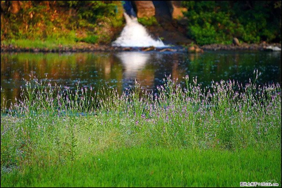 【春天，广西桂林灌阳县向您发出邀请！】熊家寨湿地公园 - 游山玩水 - 文山生活社区 - 文山28生活网 ws.28life.com