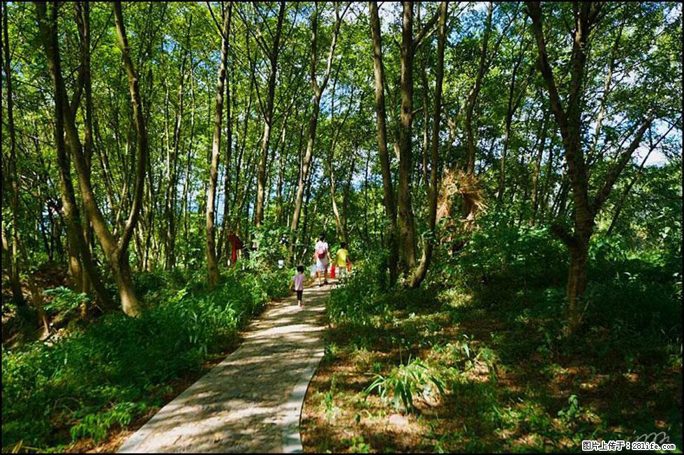 【春天，广西桂林灌阳县向您发出邀请！】熊家寨湿地公园 - 游山玩水 - 文山生活社区 - 文山28生活网 ws.28life.com