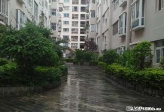 市中心，3室，可居住，可办公，带家具。 - 文山28生活网 ws.28life.com