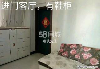 东风路旁七花南楼10楼2室2厅1卫出租、房子装修清秀入住舒适 - 文山28生活网 ws.28life.com