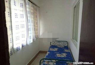 小门街旁东风花园2楼、装修清秀、格局好、带床、沙发、电视出租 - 文山28生活网 ws.28life.com