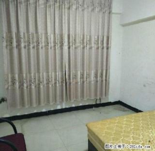 东方路！ 步行街！两室一厅一卫一厨！ - 文山28生活网 ws.28life.com