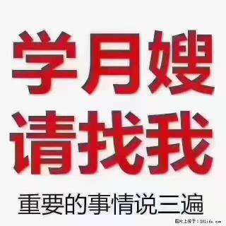 【招聘】月嫂，上海徐汇区 - 文山28生活网 ws.28life.com