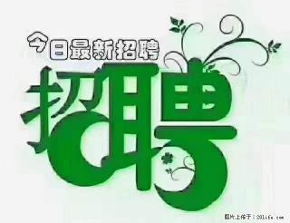 上海青浦区招仓管 - 文山28生活网 ws.28life.com