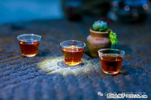 时间果百年古树2025年春红茶 - 购物交流 - 文山生活社区 - 文山28生活网 ws.28life.com