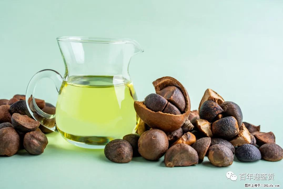 世界没有真相，只有认知，最好的食用油是中国的山茶油！ - 文山生活资讯 - 文山28生活网 ws.28life.com