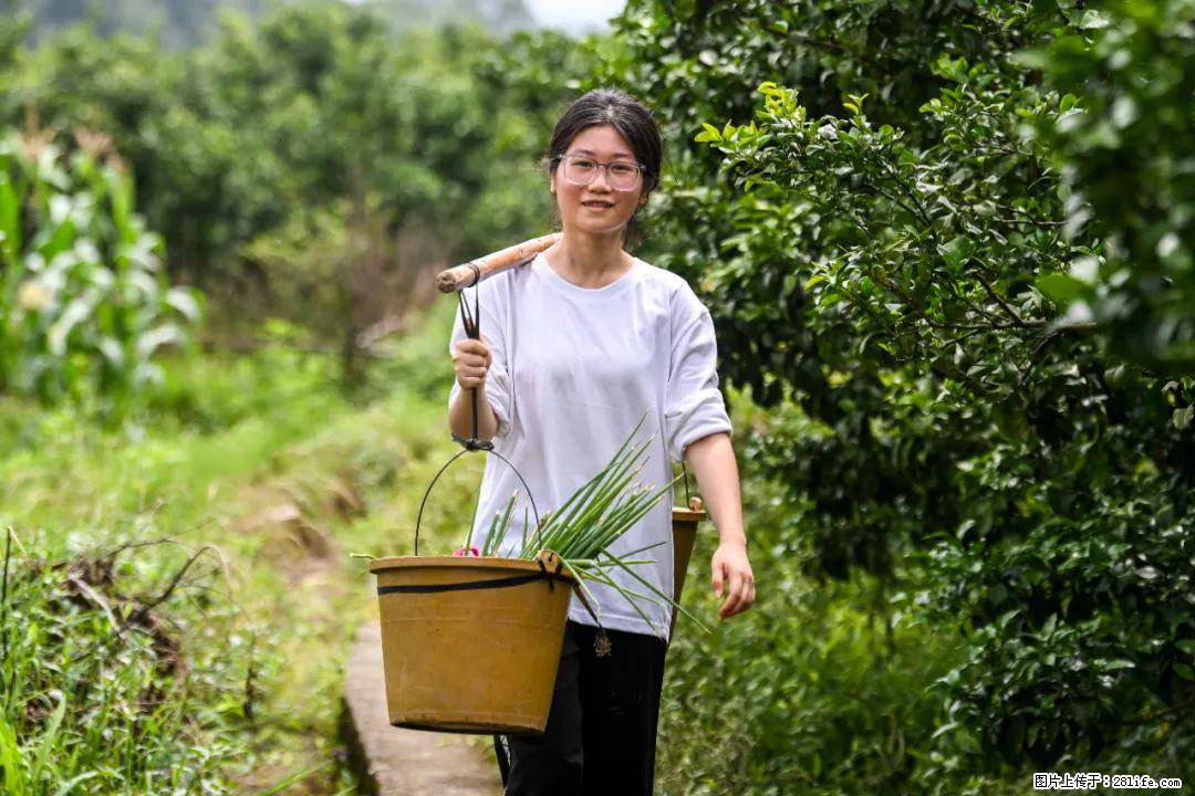 全网追的“扁担女孩”，找了一份暑假工，时薪12元 - 文山生活资讯 - 文山28生活网 ws.28life.com