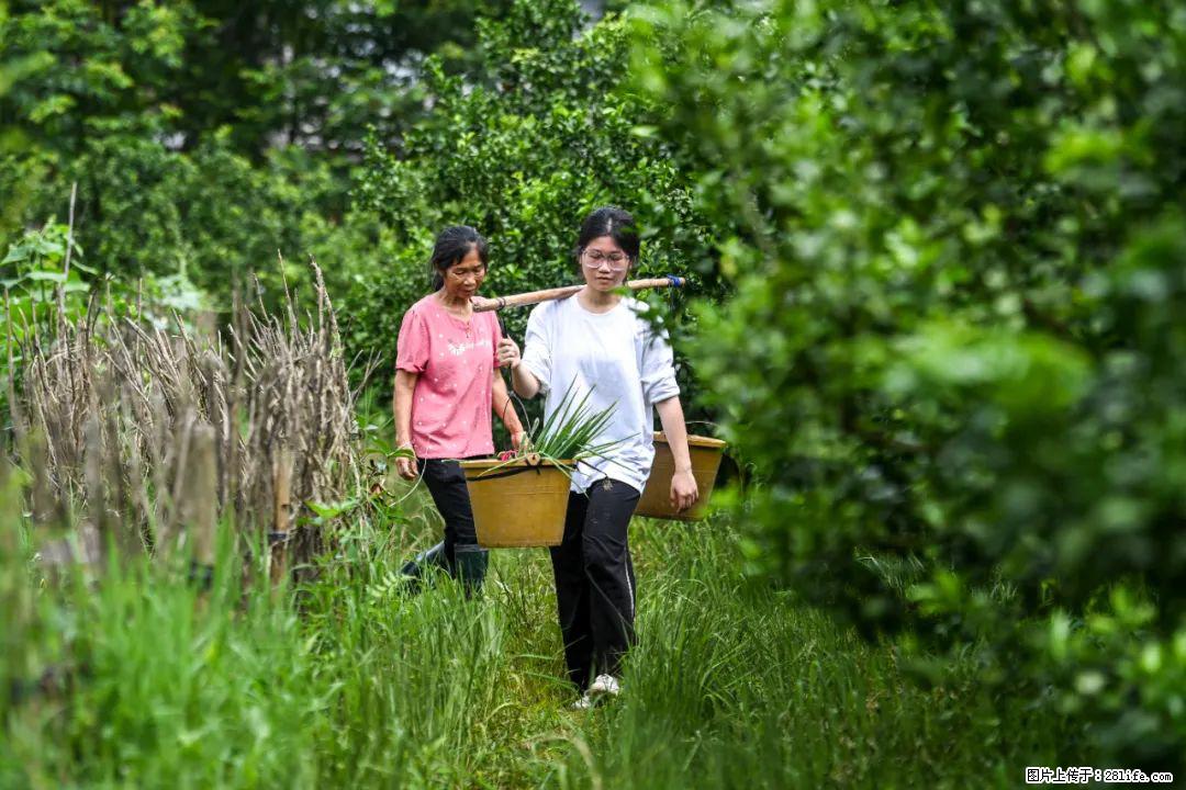 全网追的“扁担女孩”，找了一份暑假工，时薪12元 - 文山生活资讯 - 文山28生活网 ws.28life.com