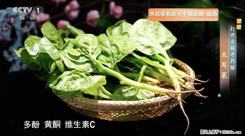 比牛奶补钙还厉害!凉血解毒、稳血糖...这菜冬天必吃,很多人却当草 - 文山生活资讯 - 文山28生活网 ws.28life.com