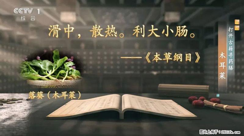 比牛奶补钙还厉害!凉血解毒、稳血糖...这菜冬天必吃,很多人却当草 - 文山生活资讯 - 文山28生活网 ws.28life.com