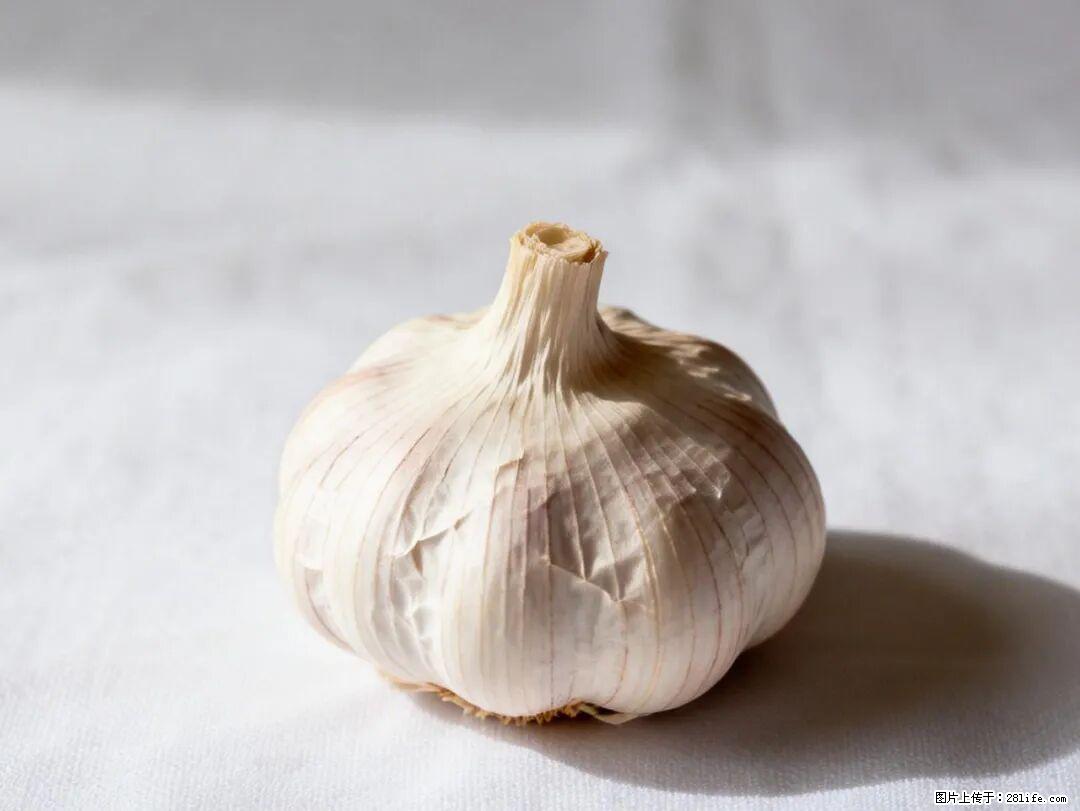 关于大蒜，除了“天然抗生素”，这4个谣言更该警惕! - 文山生活资讯 - 文山28生活网 ws.28life.com