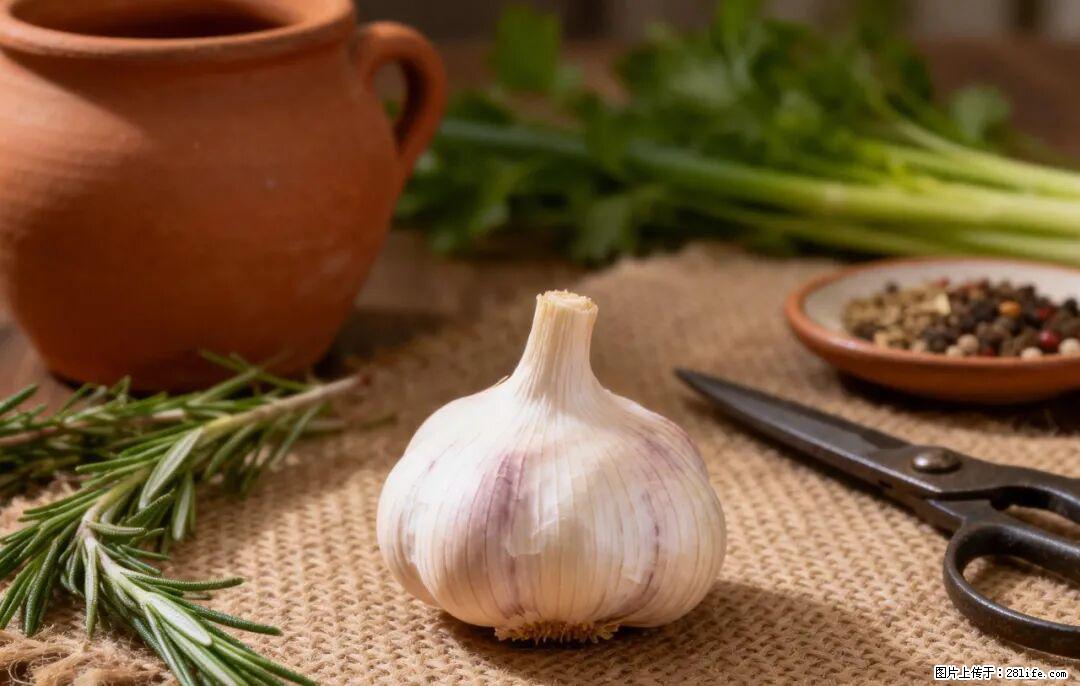 关于大蒜，除了“天然抗生素”，这4个谣言更该警惕! - 文山生活资讯 - 文山28生活网 ws.28life.com