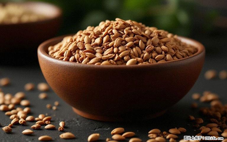 这三苦是三高“克星”，心血管干净不易堵！每天吃一点，指标慢慢降下来~ - 文山生活资讯 - 文山28生活网 ws.28life.com