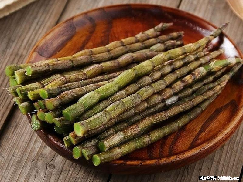 铁皮石斛的作用与功能主治 - 文山生活资讯 - 文山28生活网 ws.28life.com