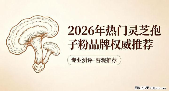 灵芝孢子粉含量越高越有效？2026 年七款热门品牌深度实测，肠胃敏感者避坑指南 - 文山生活资讯 - 文山28生活网 ws.28life.com